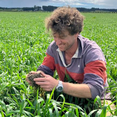 Farmer Harry in field of organic spelt